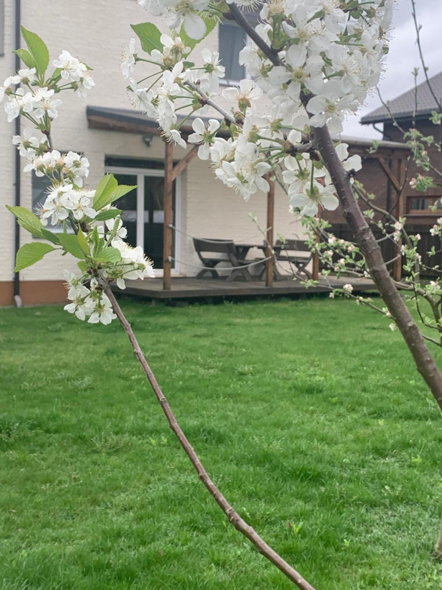 Pilaites Svetingi Namai Apartment Vilnius Bagian luar foto